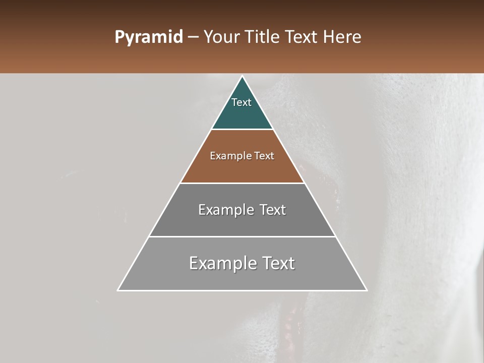 Vampire Horror Dark PowerPoint Template