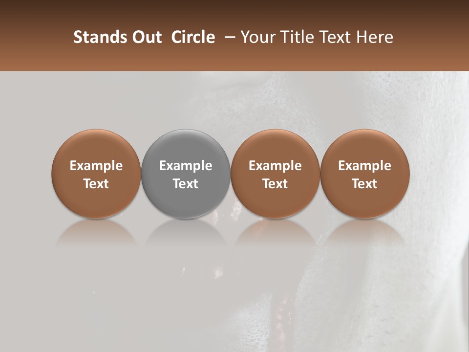 Vampire Horror Dark PowerPoint Template