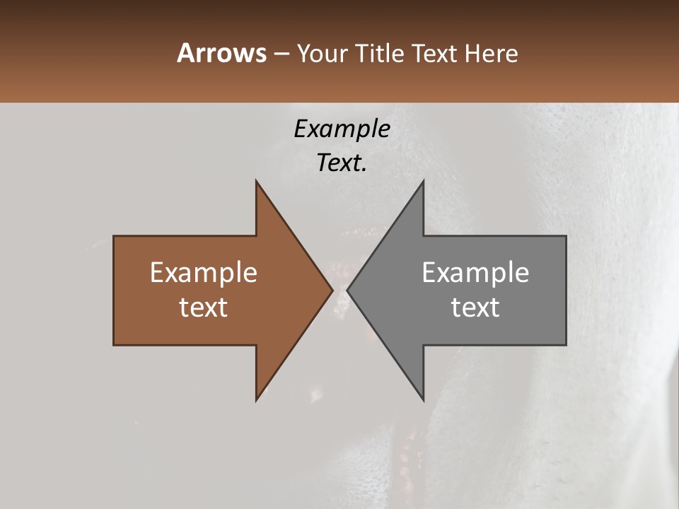 Vampire Horror Dark PowerPoint Template