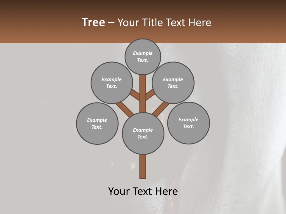 Vampire Horror Dark PowerPoint Template