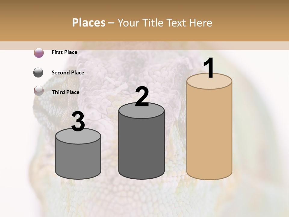 On Top Of Stem Flower PowerPoint Template