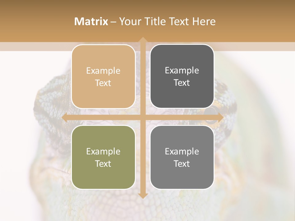 On Top Of Stem Flower PowerPoint Template