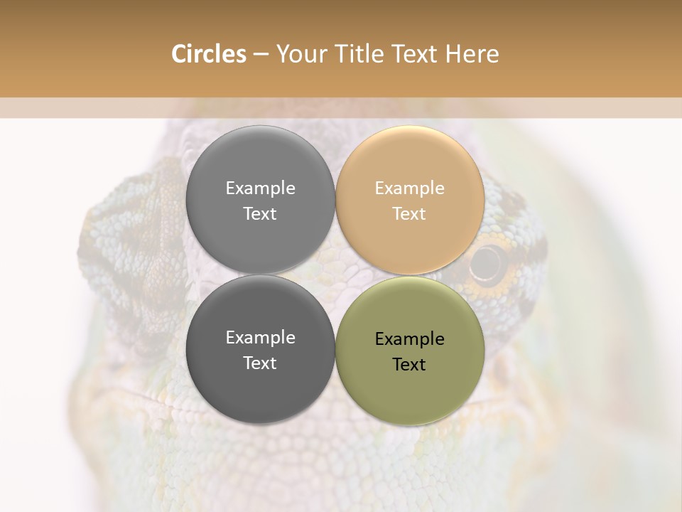 On Top Of Stem Flower PowerPoint Template