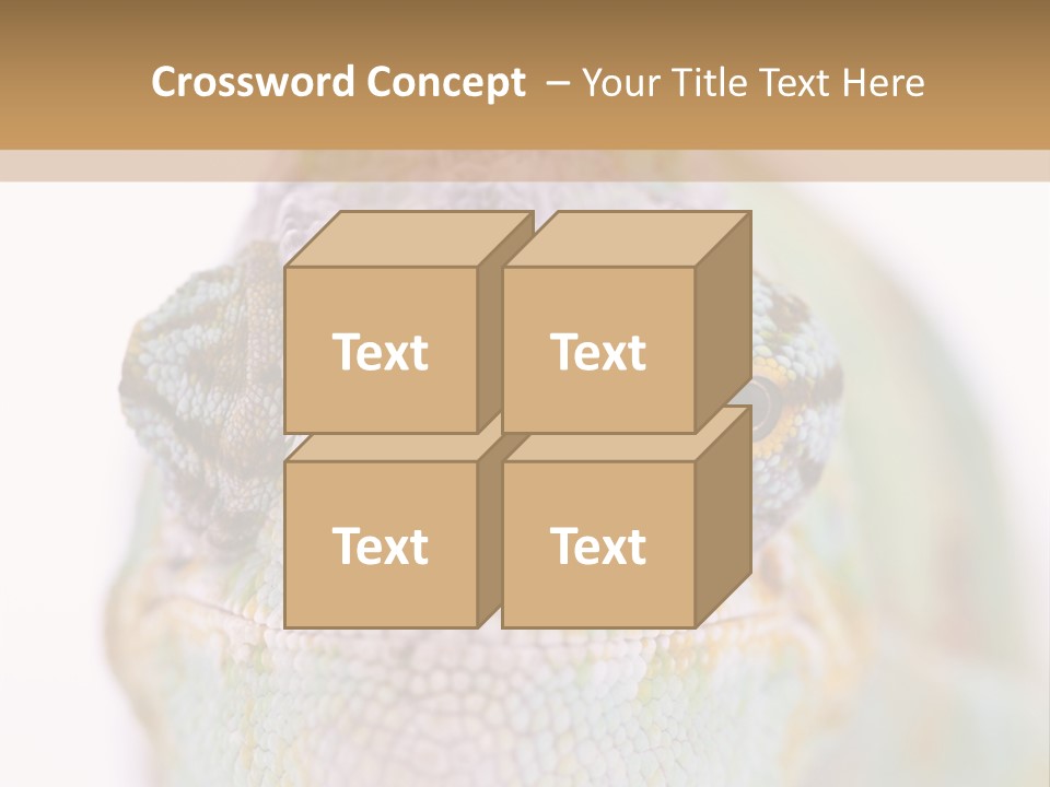 On Top Of Stem Flower PowerPoint Template