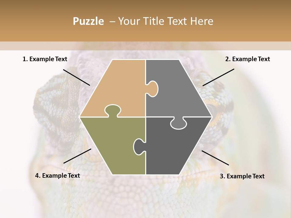 On Top Of Stem Flower PowerPoint Template