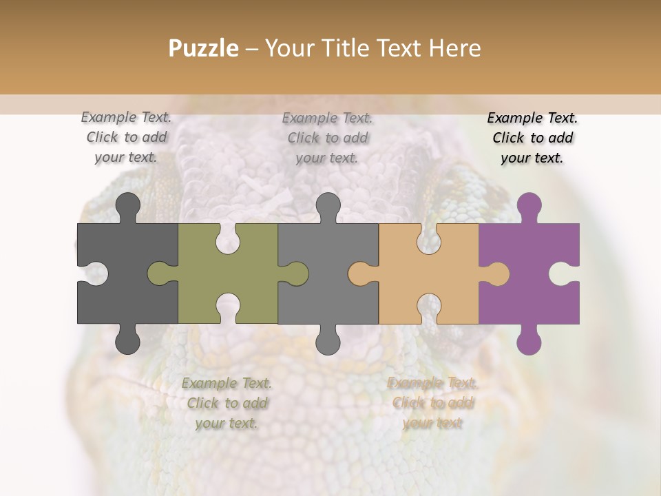 On Top Of Stem Flower PowerPoint Template