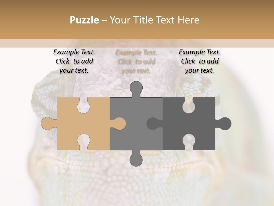 On Top Of Stem Flower PowerPoint Template