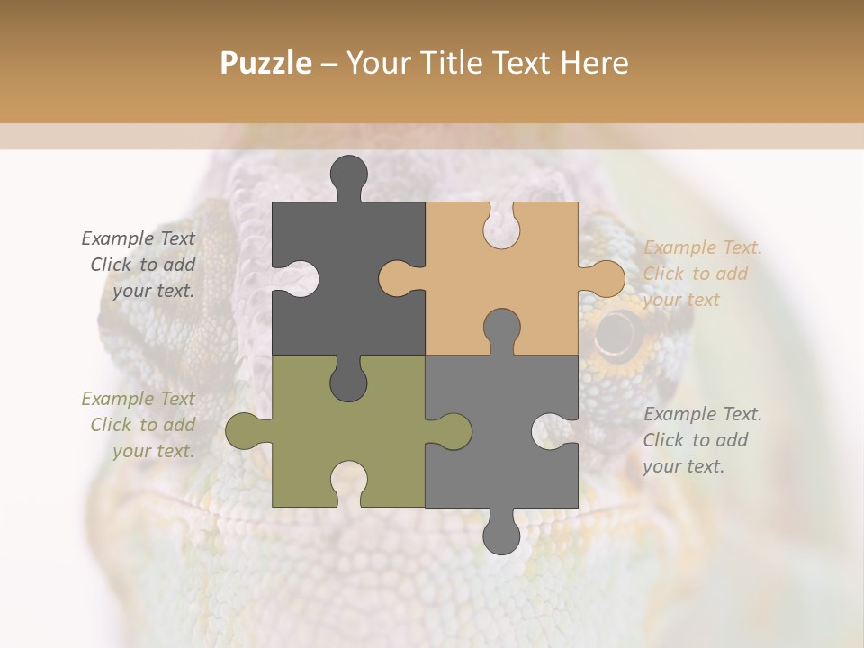 On Top Of Stem Flower PowerPoint Template