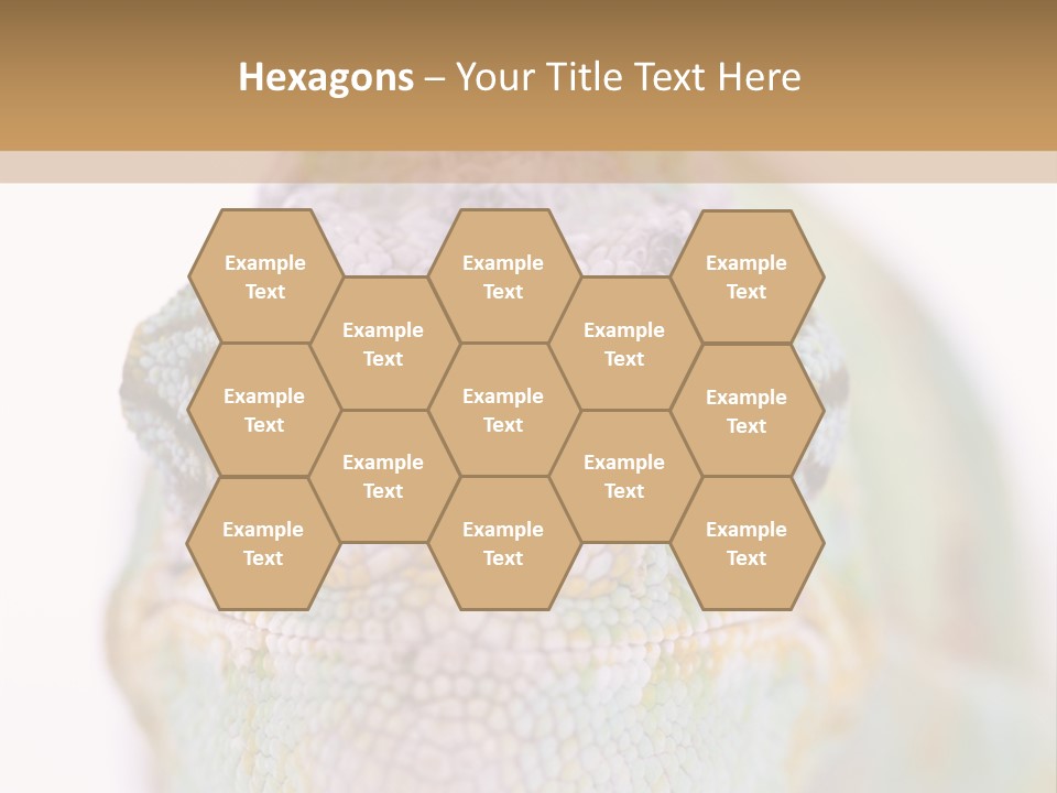 On Top Of Stem Flower PowerPoint Template