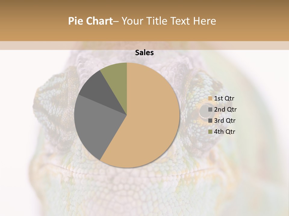 On Top Of Stem Flower PowerPoint Template