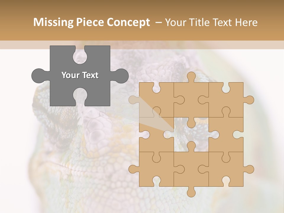 On Top Of Stem Flower PowerPoint Template