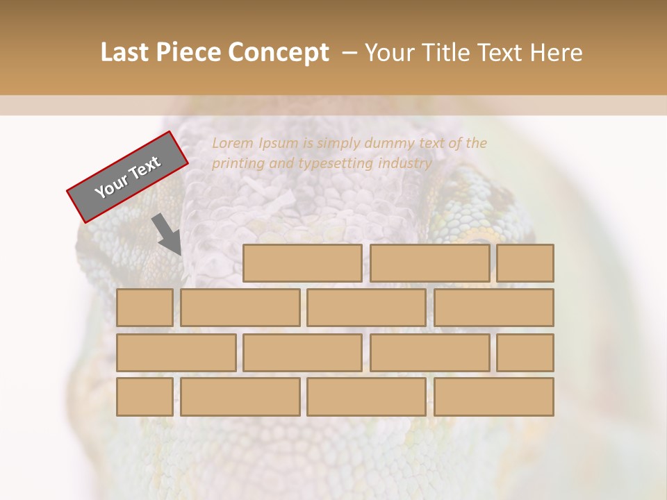 On Top Of Stem Flower PowerPoint Template