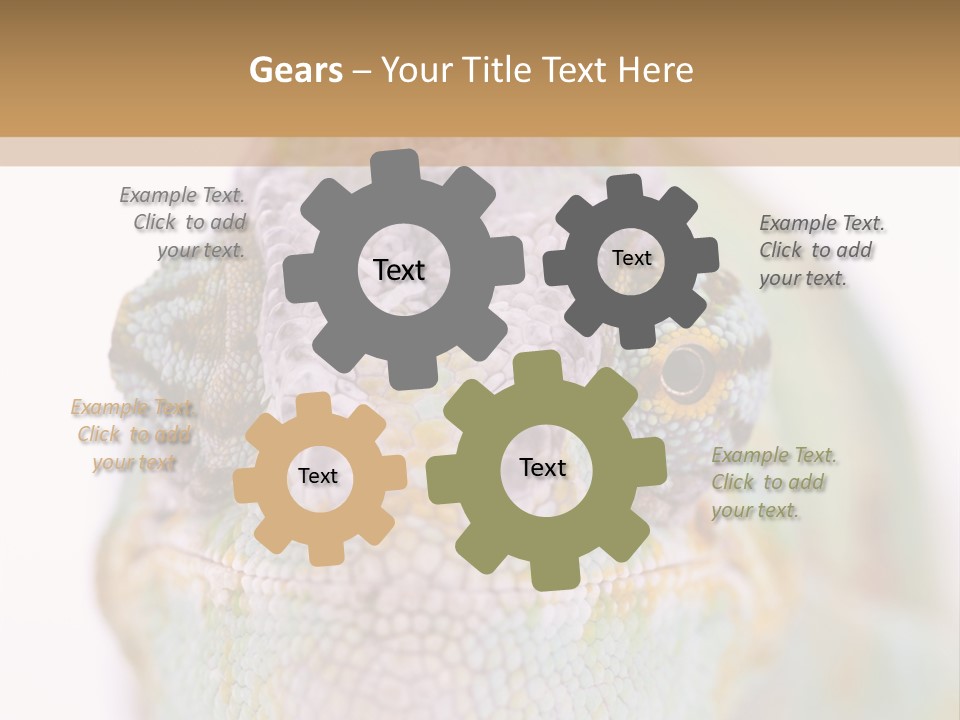 On Top Of Stem Flower PowerPoint Template