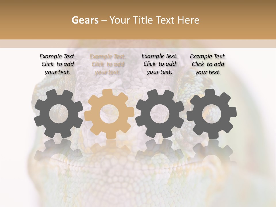 On Top Of Stem Flower PowerPoint Template