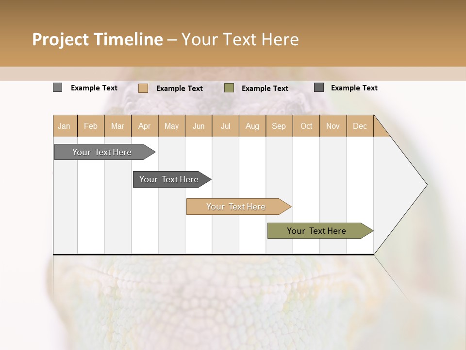 On Top Of Stem Flower PowerPoint Template