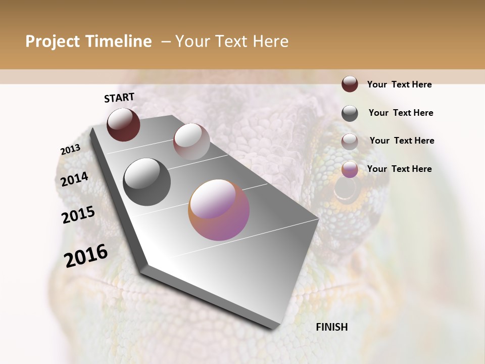 On Top Of Stem Flower PowerPoint Template