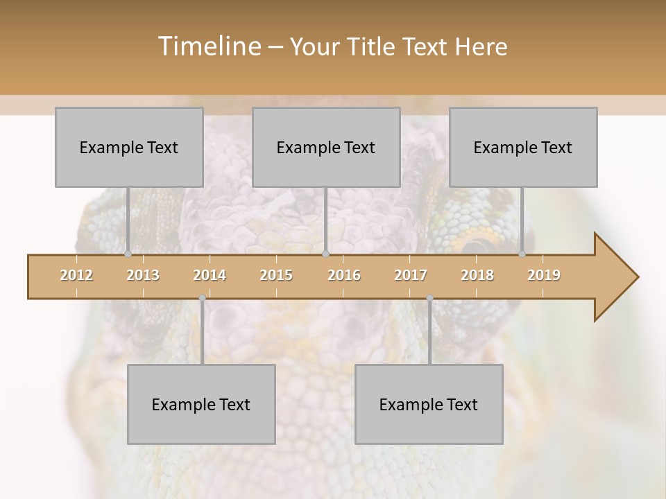 On Top Of Stem Flower PowerPoint Template
