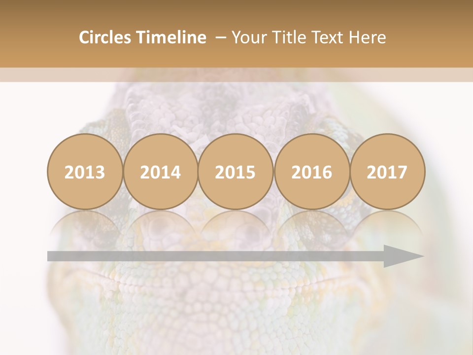 On Top Of Stem Flower PowerPoint Template