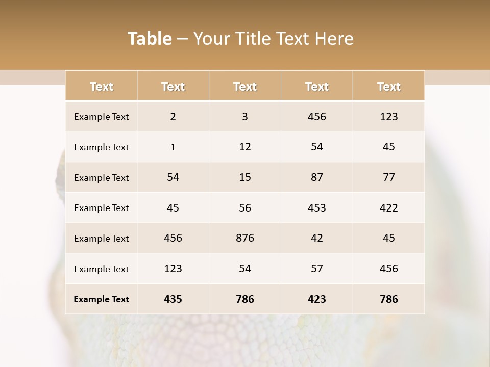 On Top Of Stem Flower PowerPoint Template