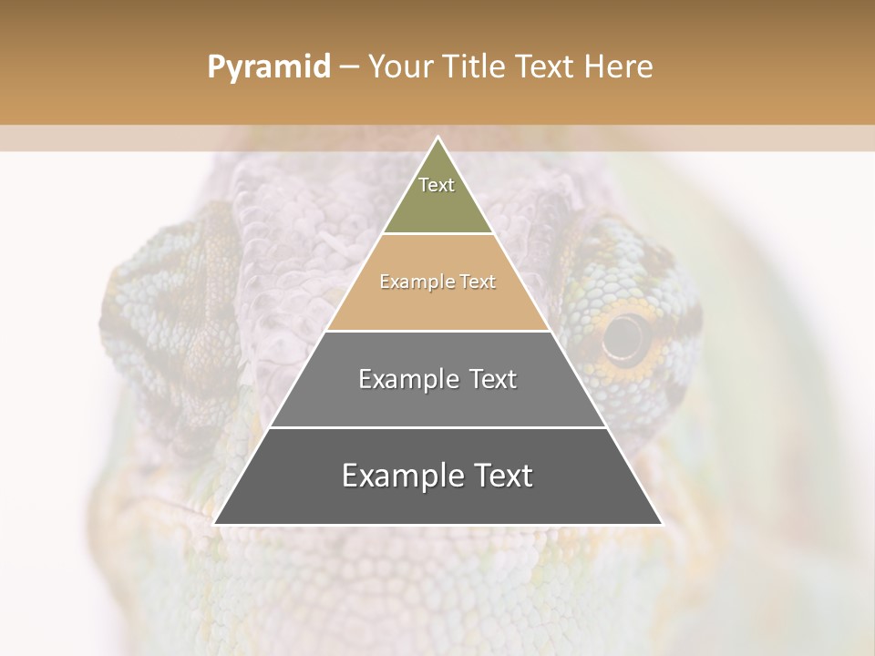 On Top Of Stem Flower PowerPoint Template