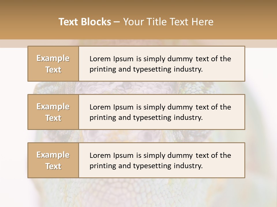 On Top Of Stem Flower PowerPoint Template