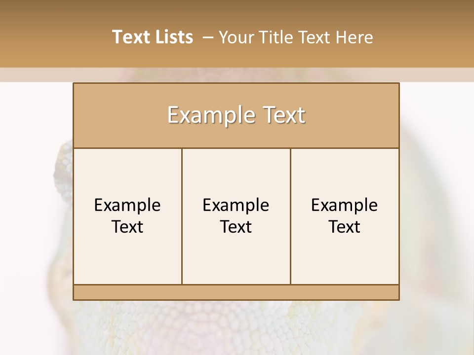 On Top Of Stem Flower PowerPoint Template