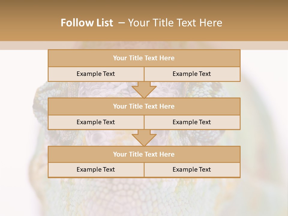 On Top Of Stem Flower PowerPoint Template