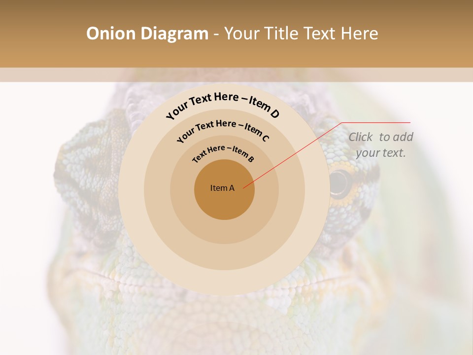 On Top Of Stem Flower PowerPoint Template