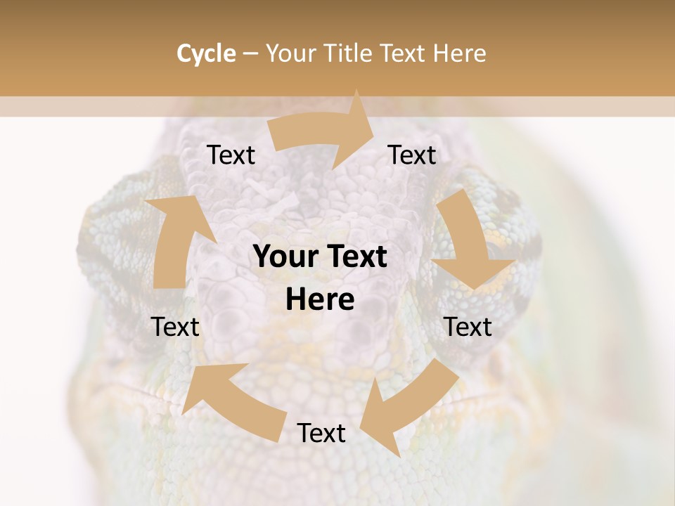 On Top Of Stem Flower PowerPoint Template