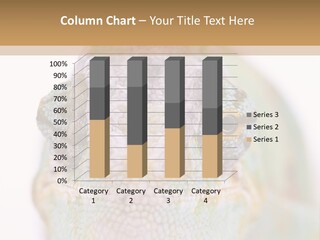 On Top Of Stem Flower PowerPoint Template