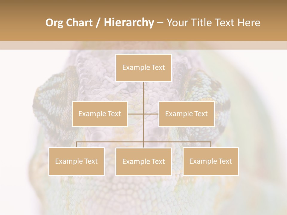 On Top Of Stem Flower PowerPoint Template