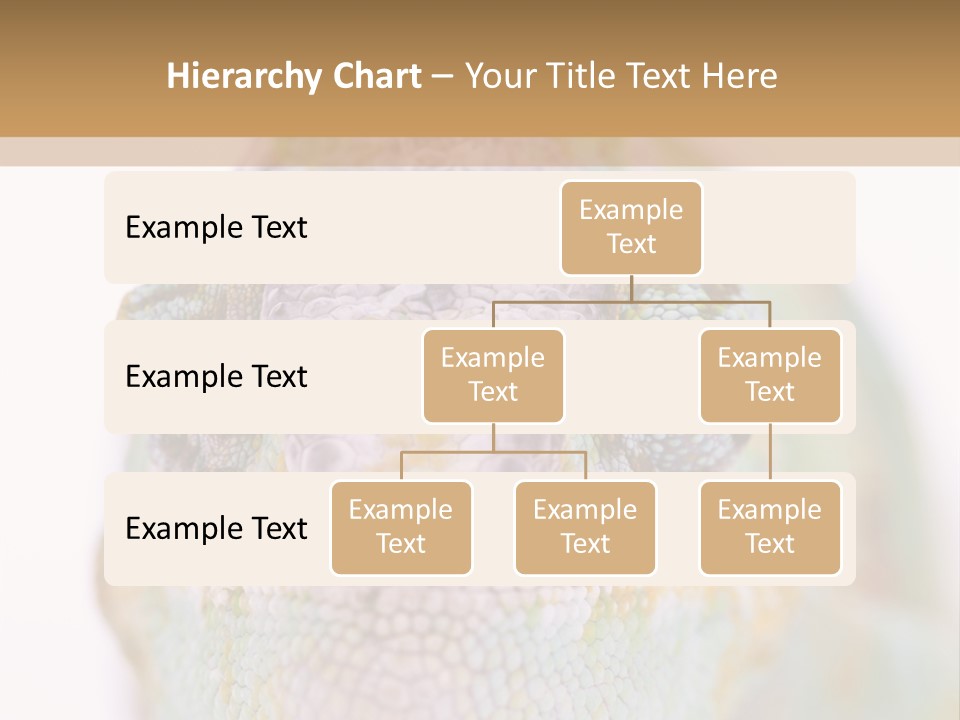 On Top Of Stem Flower PowerPoint Template