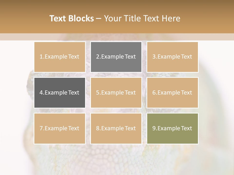 On Top Of Stem Flower PowerPoint Template