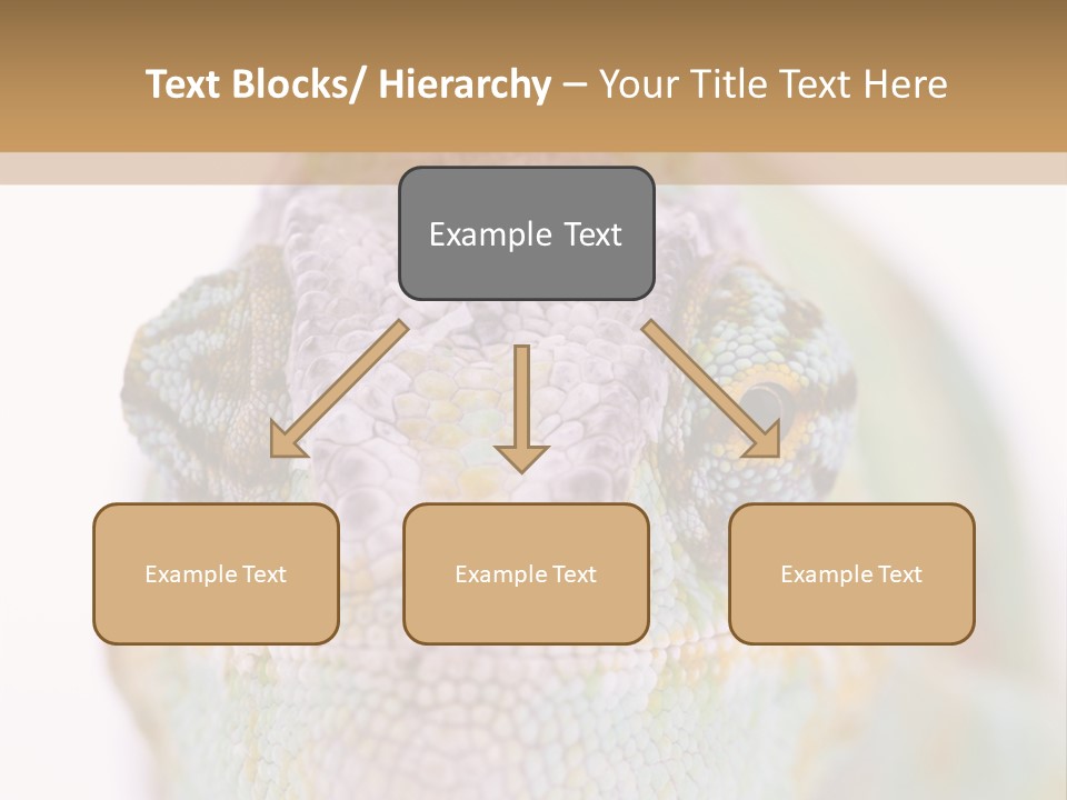 On Top Of Stem Flower PowerPoint Template