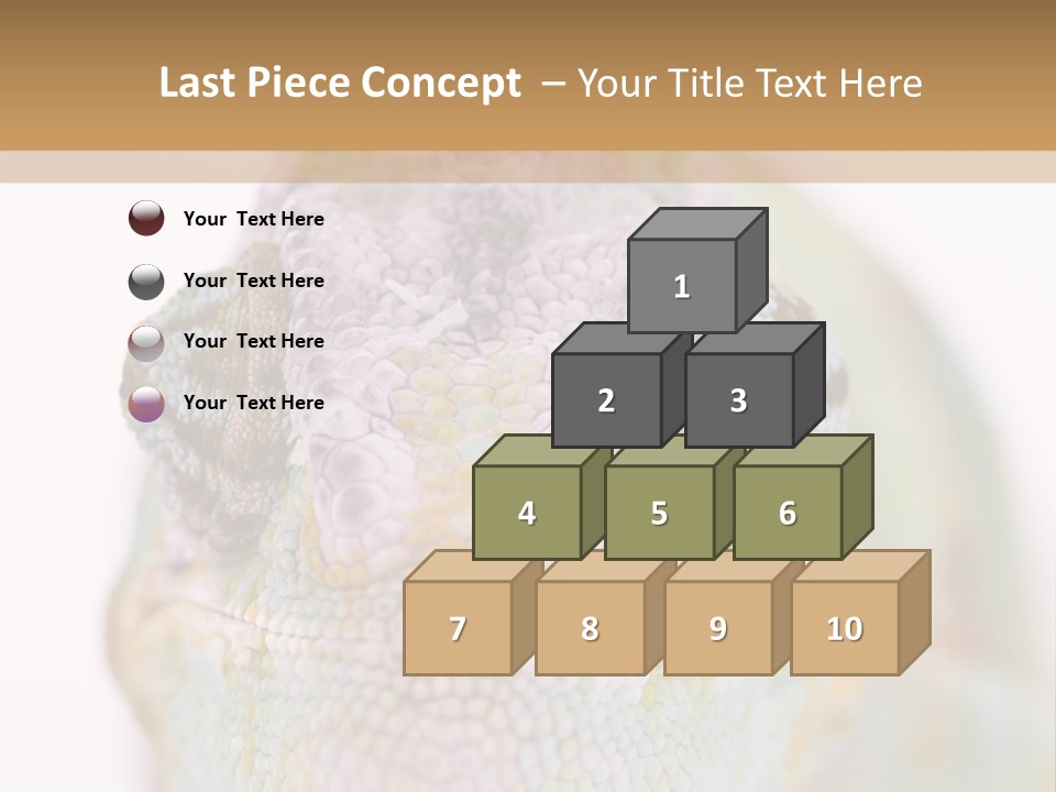 On Top Of Stem Flower PowerPoint Template