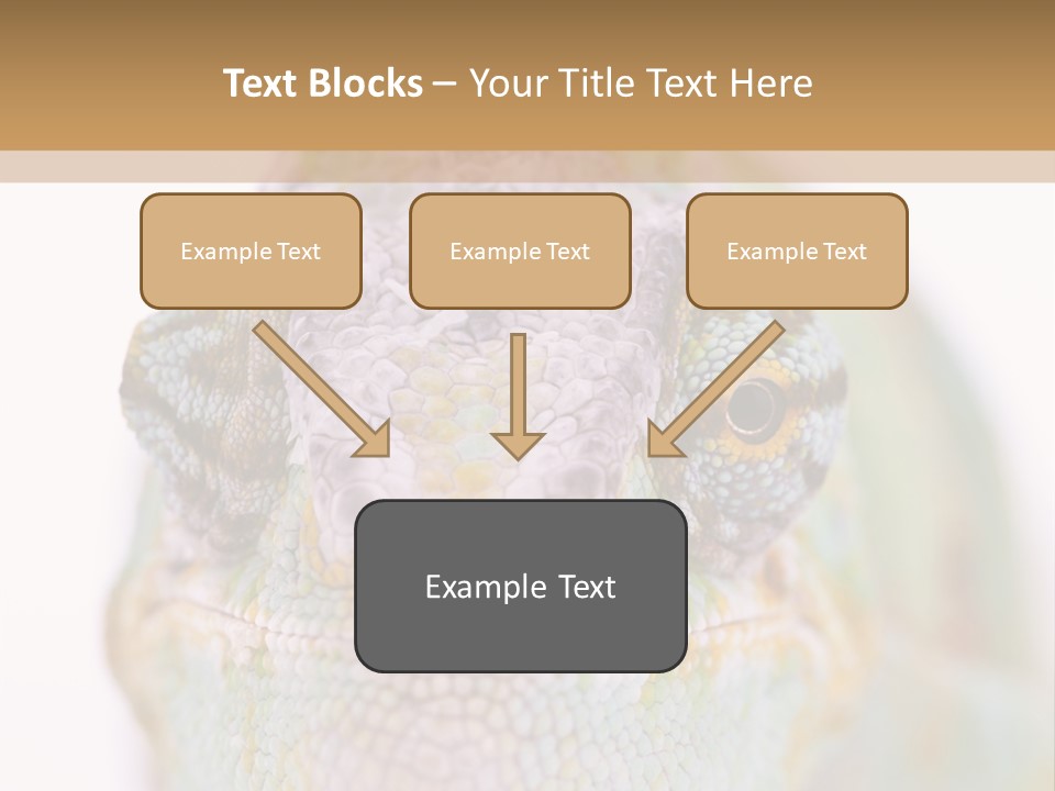On Top Of Stem Flower PowerPoint Template