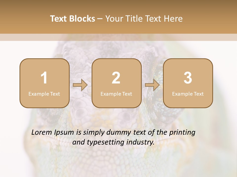On Top Of Stem Flower PowerPoint Template