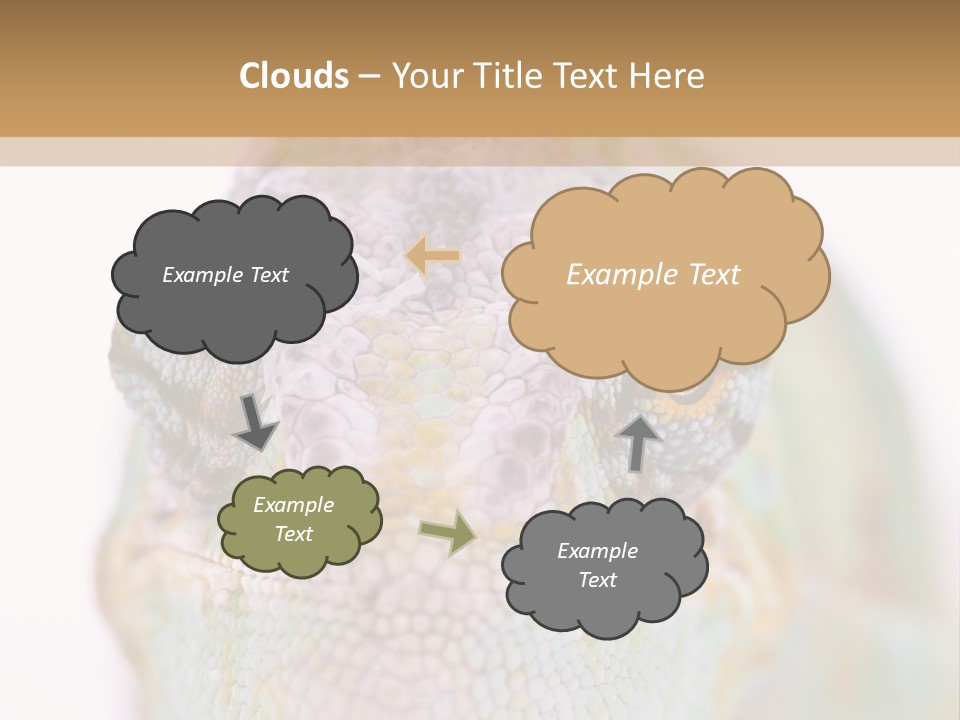 On Top Of Stem Flower PowerPoint Template