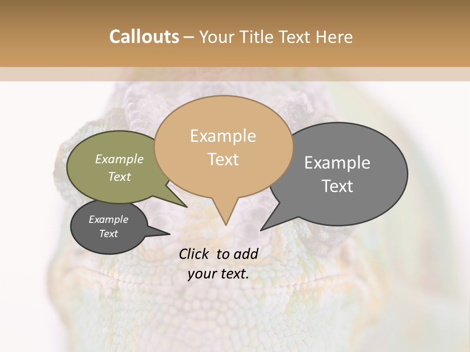 On Top Of Stem Flower PowerPoint Template
