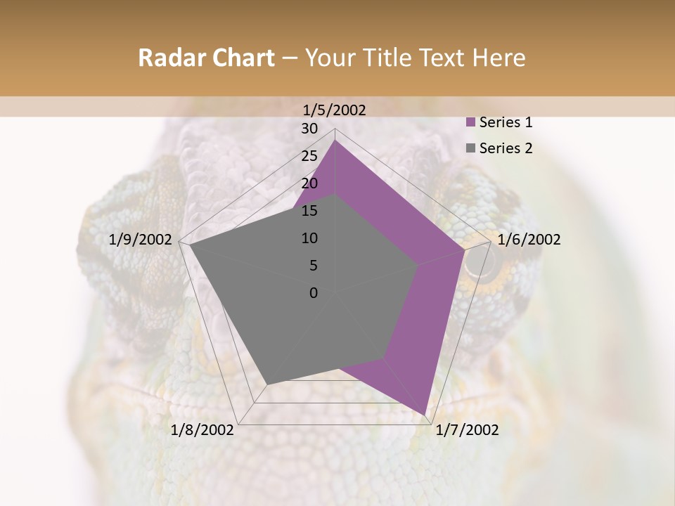 On Top Of Stem Flower PowerPoint Template