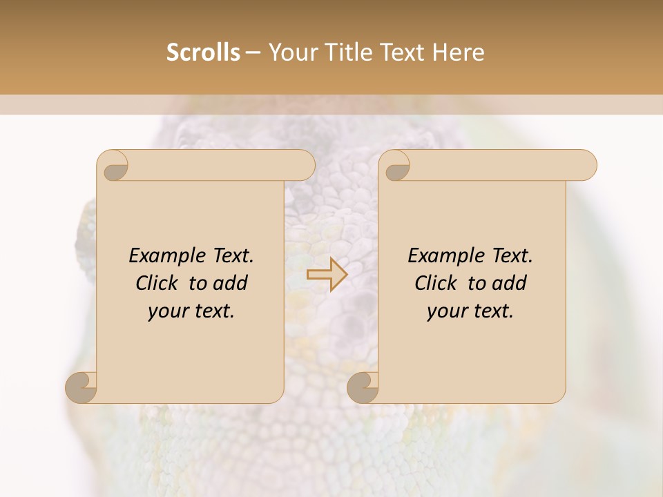 On Top Of Stem Flower PowerPoint Template