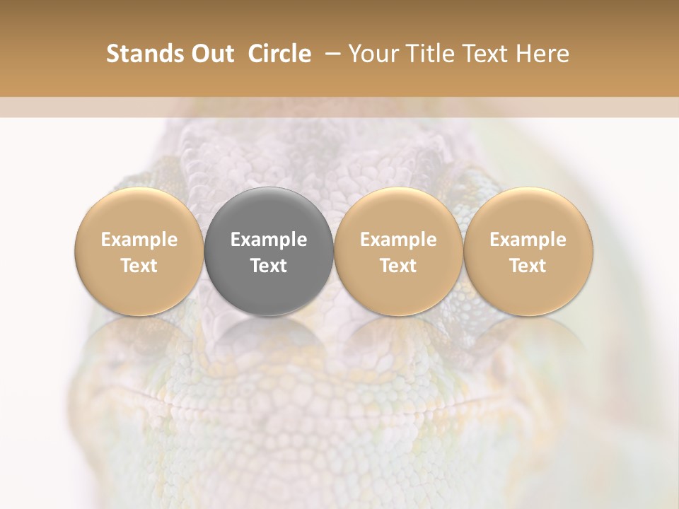 On Top Of Stem Flower PowerPoint Template