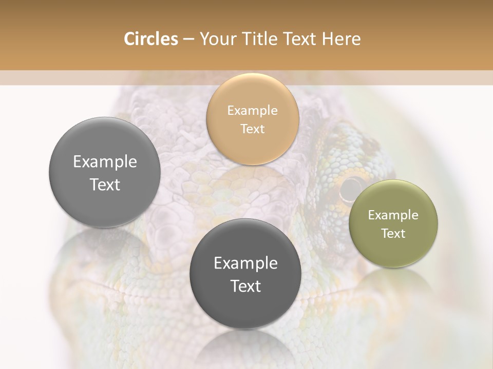 On Top Of Stem Flower PowerPoint Template