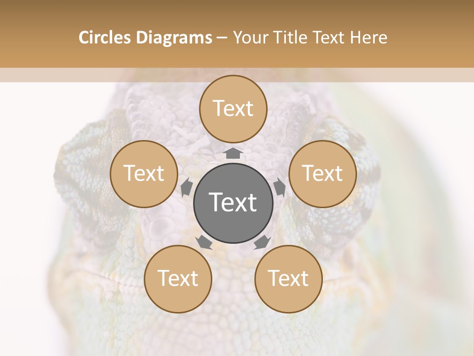 On Top Of Stem Flower PowerPoint Template