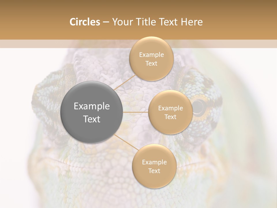 On Top Of Stem Flower PowerPoint Template