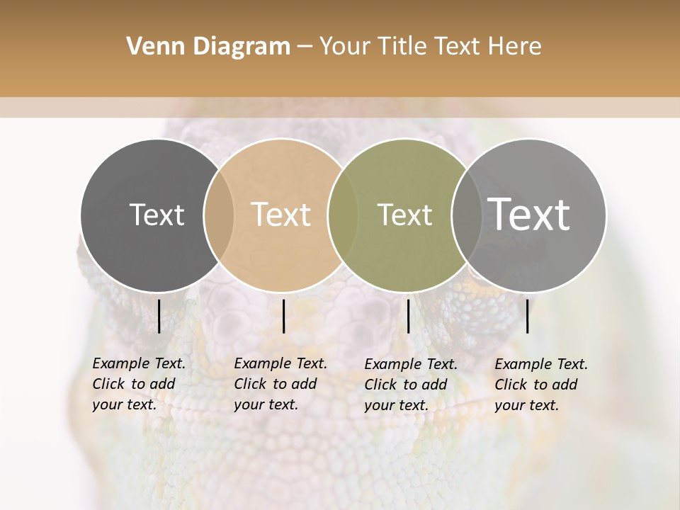 On Top Of Stem Flower PowerPoint Template