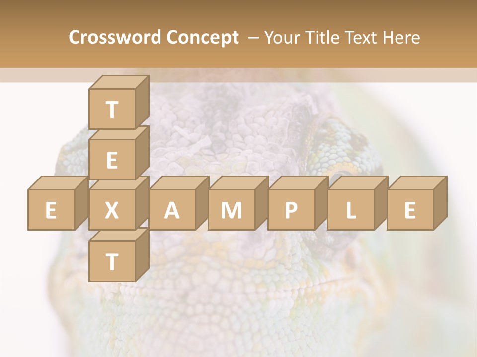 On Top Of Stem Flower PowerPoint Template