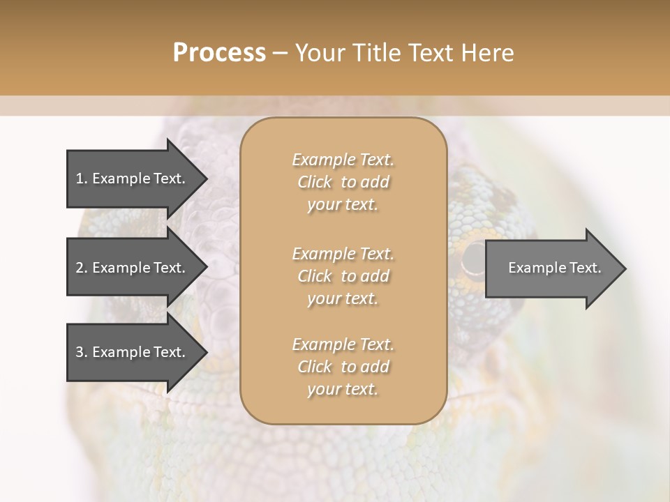 On Top Of Stem Flower PowerPoint Template