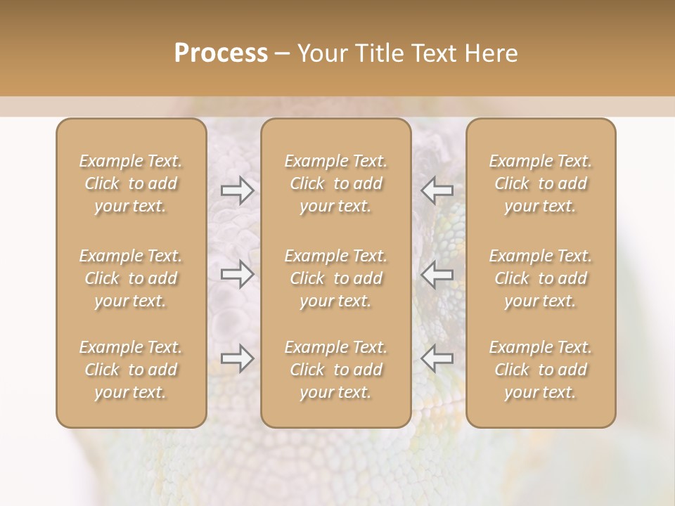 On Top Of Stem Flower PowerPoint Template