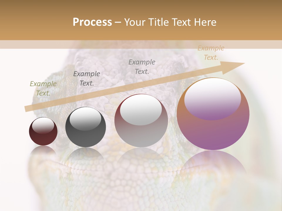 On Top Of Stem Flower PowerPoint Template